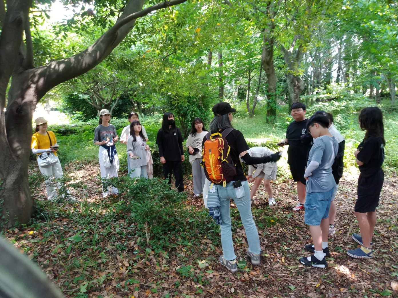 2025년 보길도 숲해설 및 비파수확체험 대표이미지